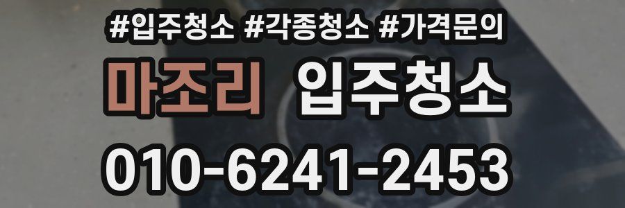 마조리 이사청소
