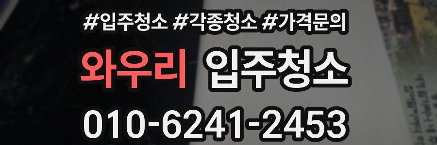 와우리 이사청소