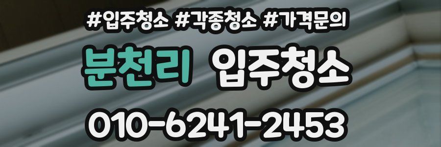 분천리 이사청소