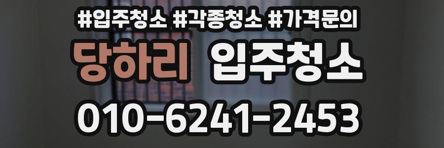 당하리 이사청소