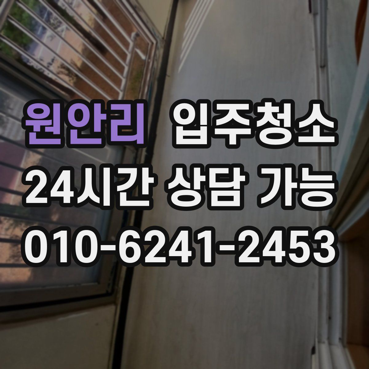 원안리 원룸청소