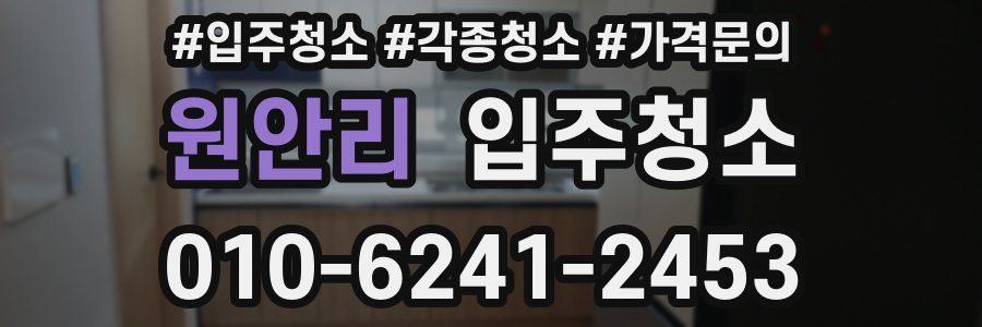 원안리 이사청소