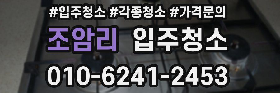 조암리 이사청소