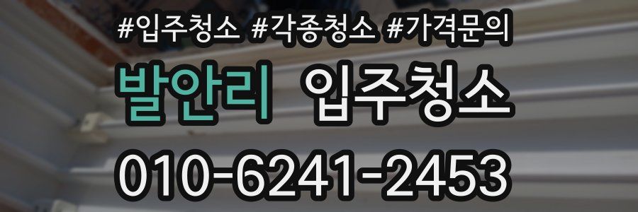 발안리 이사청소