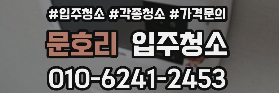 문호리 이사청소