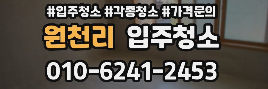 원천리 이사청소