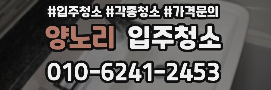 양노리 이사청소