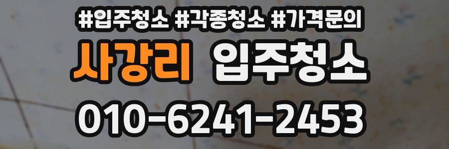 사강리 이사청소