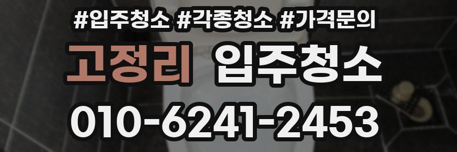 고정리 이사청소