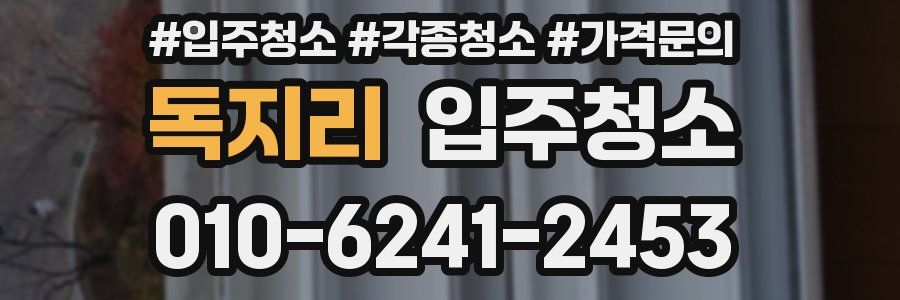 독지리 이사청소