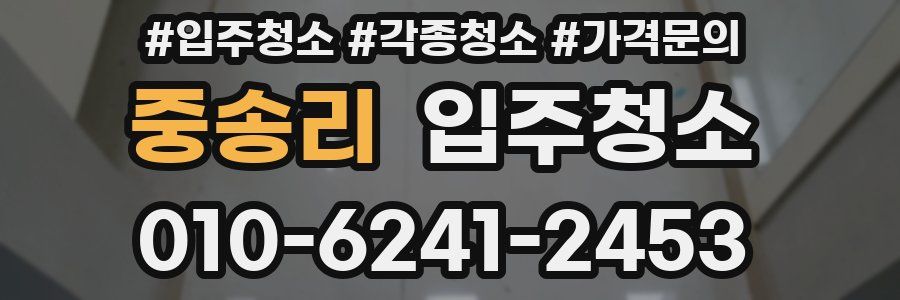 중송리 이사청소