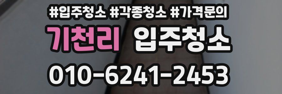 기천리 이사청소