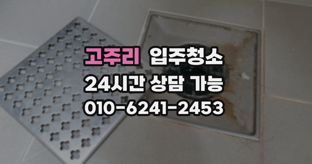 고주리 입주청소