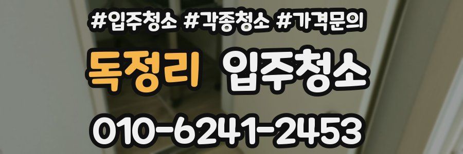 독정리 이사청소