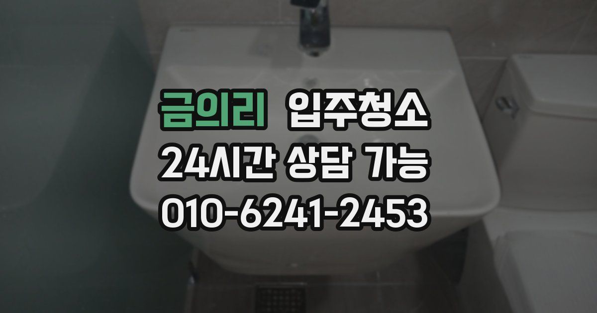 금의리 입주청소