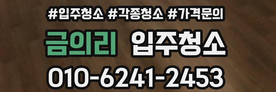 금의리 이사청소