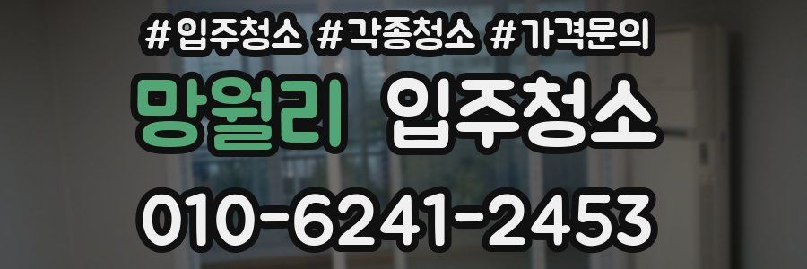 망월리 이사청소