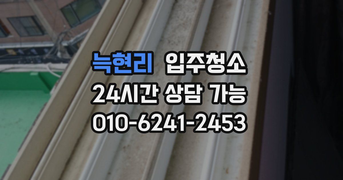 늑현리 입주청소