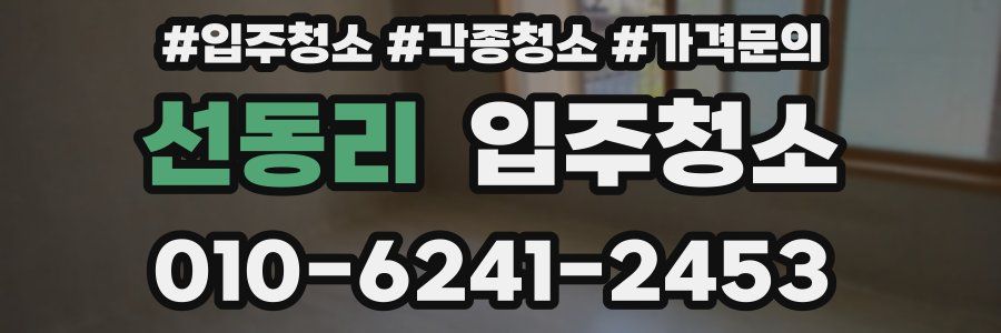 선동리 이사청소