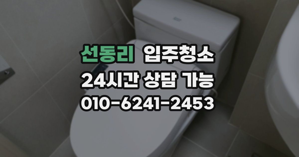 선동리 입주청소