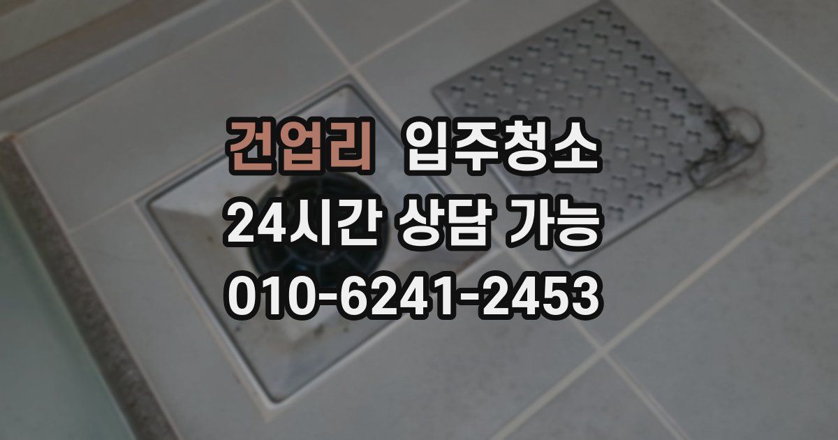 건업리 입주청소