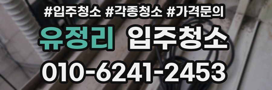 유정리 이사청소