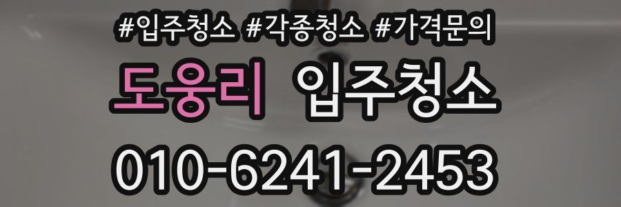 도웅리 이사청소