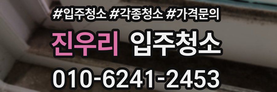 진우리 이사청소