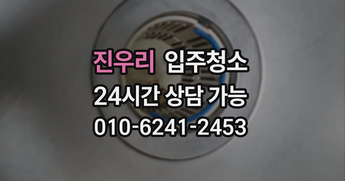 진우리 입주청소