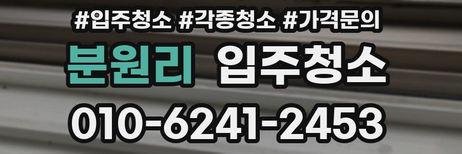 분원리 이사청소