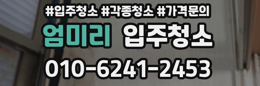 엄미리 이사청소