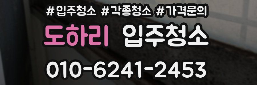 도하리 이사청소