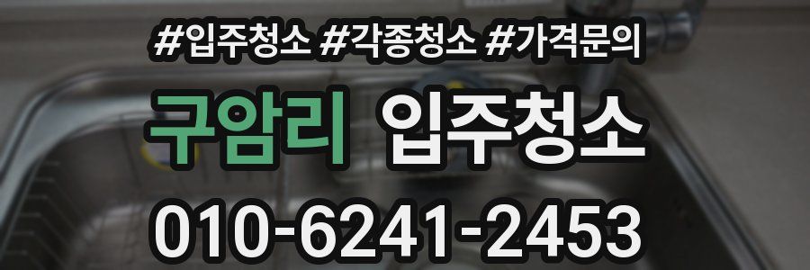 구암리 이사청소