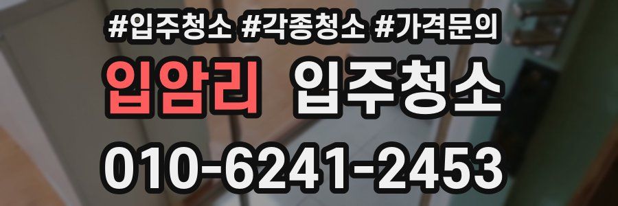 입암리 이사청소