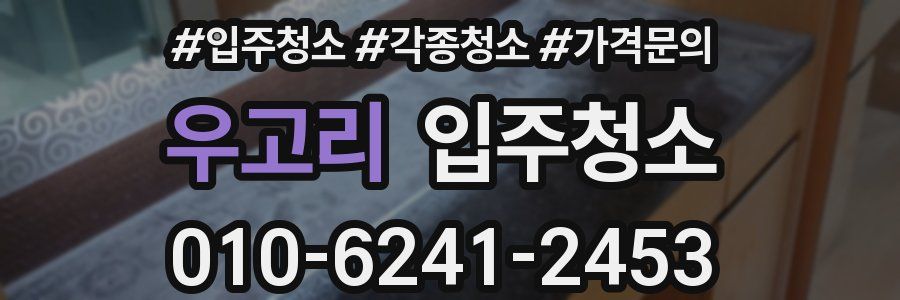 우고리 이사청소