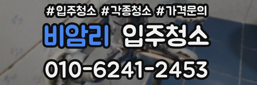 비암리 이사청소