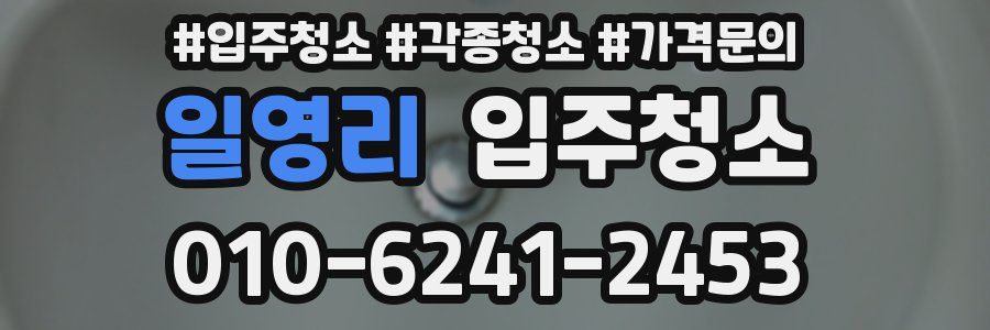 일영리 이사청소