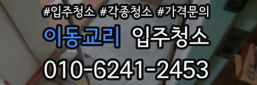 이동교리 이사청소