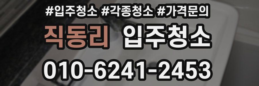 직동리 이사청소