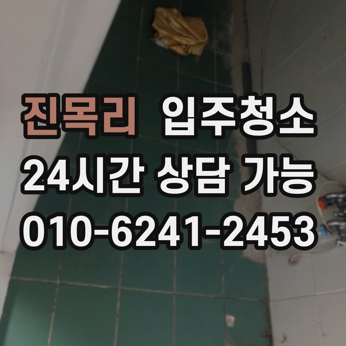 진목리 원룸청소