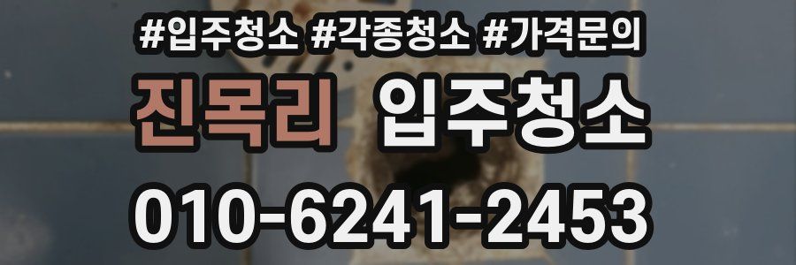 진목리 이사청소