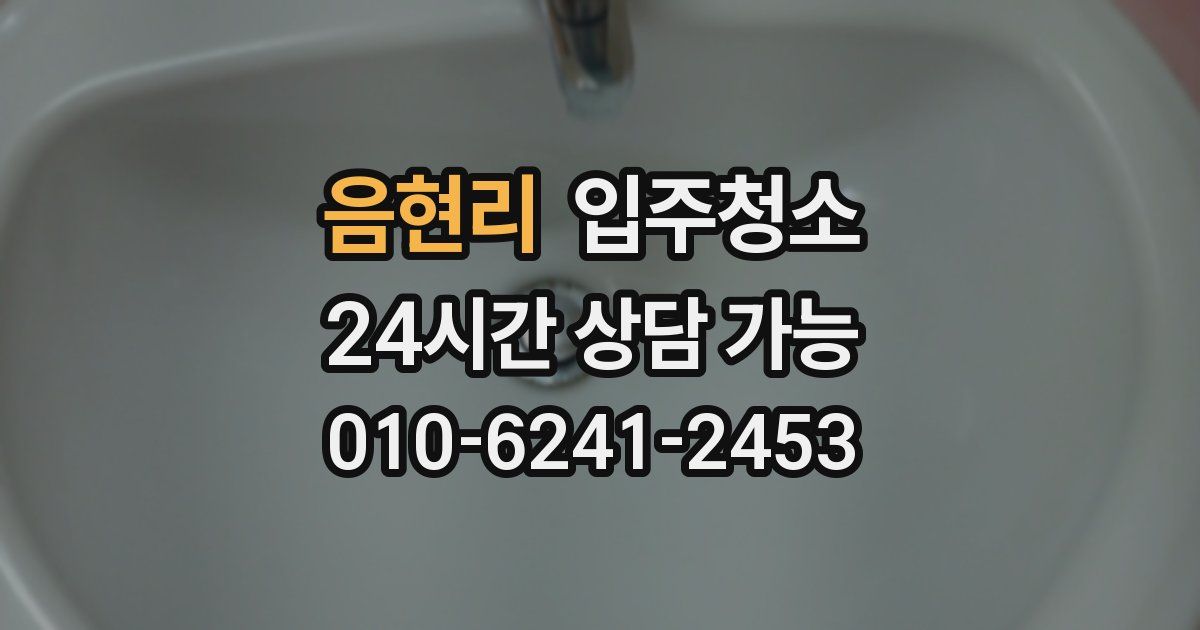 음현리 입주청소