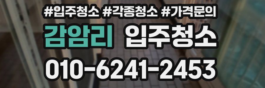 감암리 이사청소