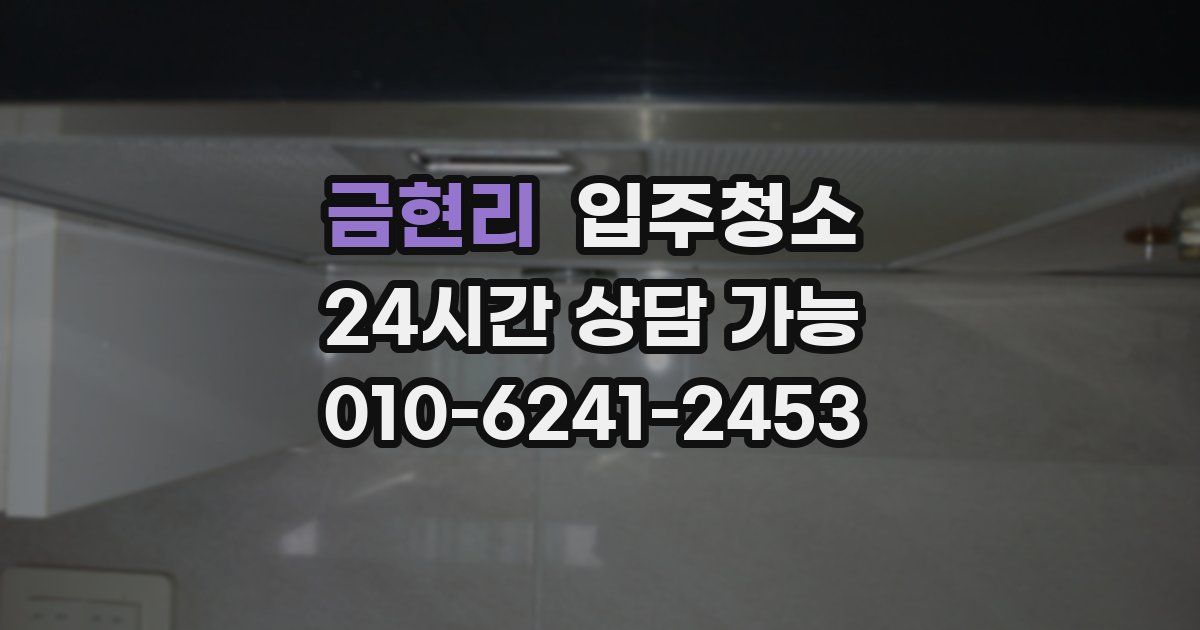 금현리 입주청소