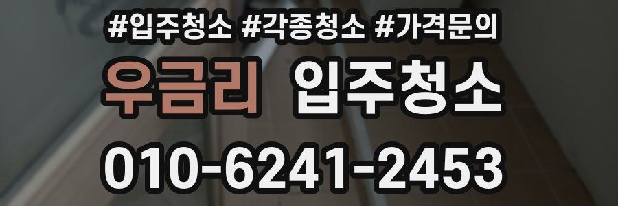 우금리 이사청소