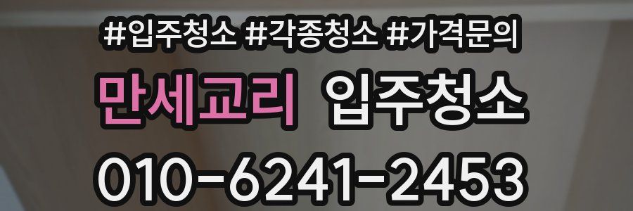 만세교리 이사청소