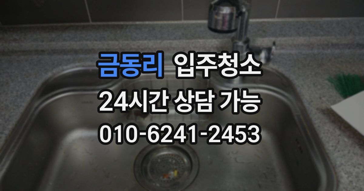 금동리 입주청소