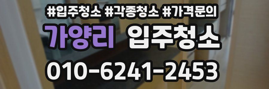 가양리 이사청소