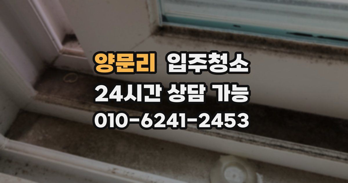 양문리 입주청소