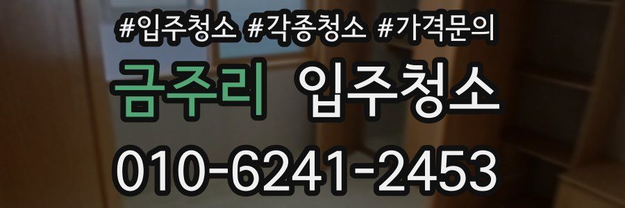 금주리 이사청소